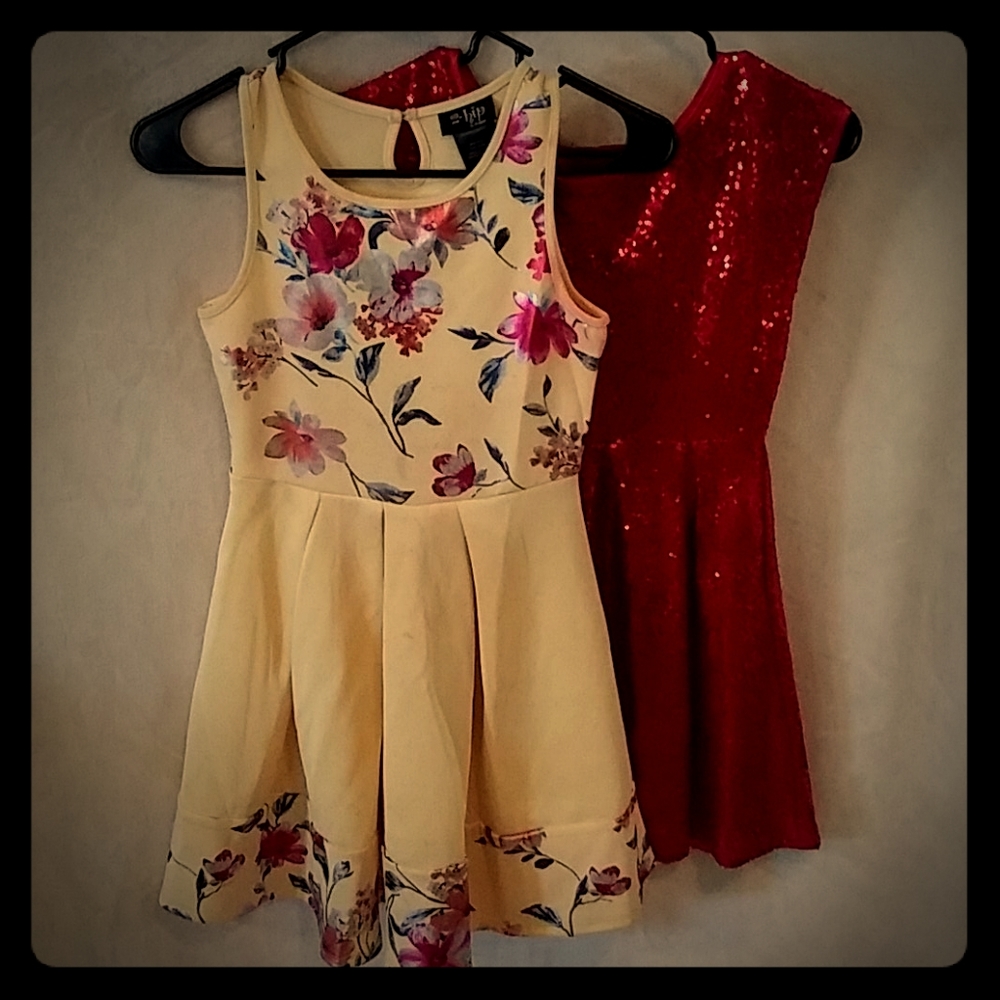 Pair of Shiny Dresses